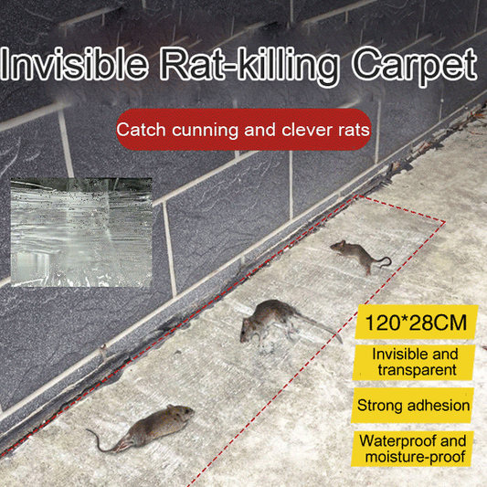 ✨LAATSTE DAG UITVERKOOP 50% KORTING✨Huishoudelijk Mon-geweven sterke muizenval met kleefmat