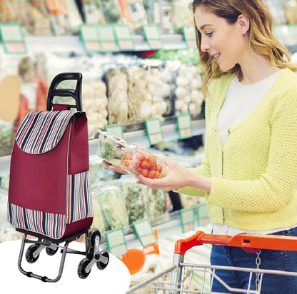 Draagbare opvouwbare trap met grote capaciteit, beklimbare kar